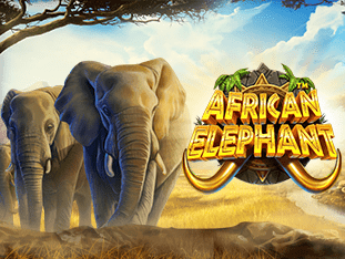 African Elephant game screenshot