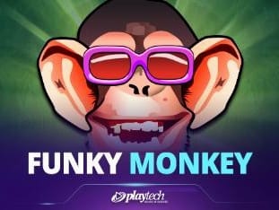 Funky Monkey game screenshot
